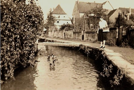 Bilderrätsel Nr. 13 Gartenschau früher - aber wo?