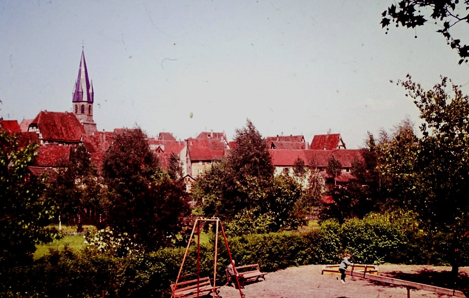 Gartenschau früher  aber wo?