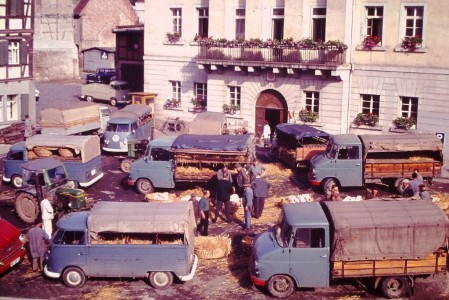 Eppinger Schweinemarkt
