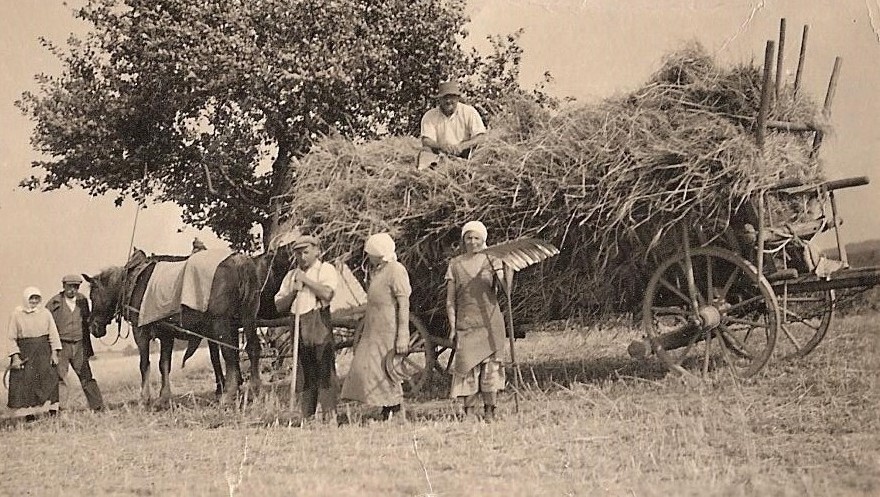 Erinnerungen Leiterwagen
